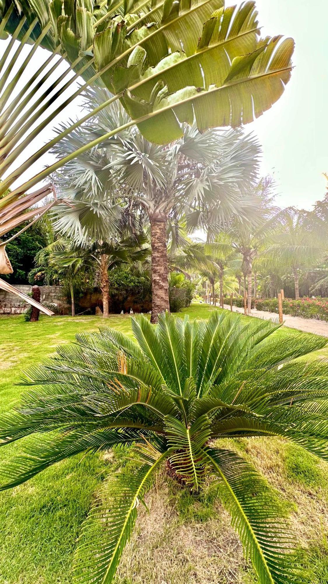 Villa Jaguar Fortim Esterno foto