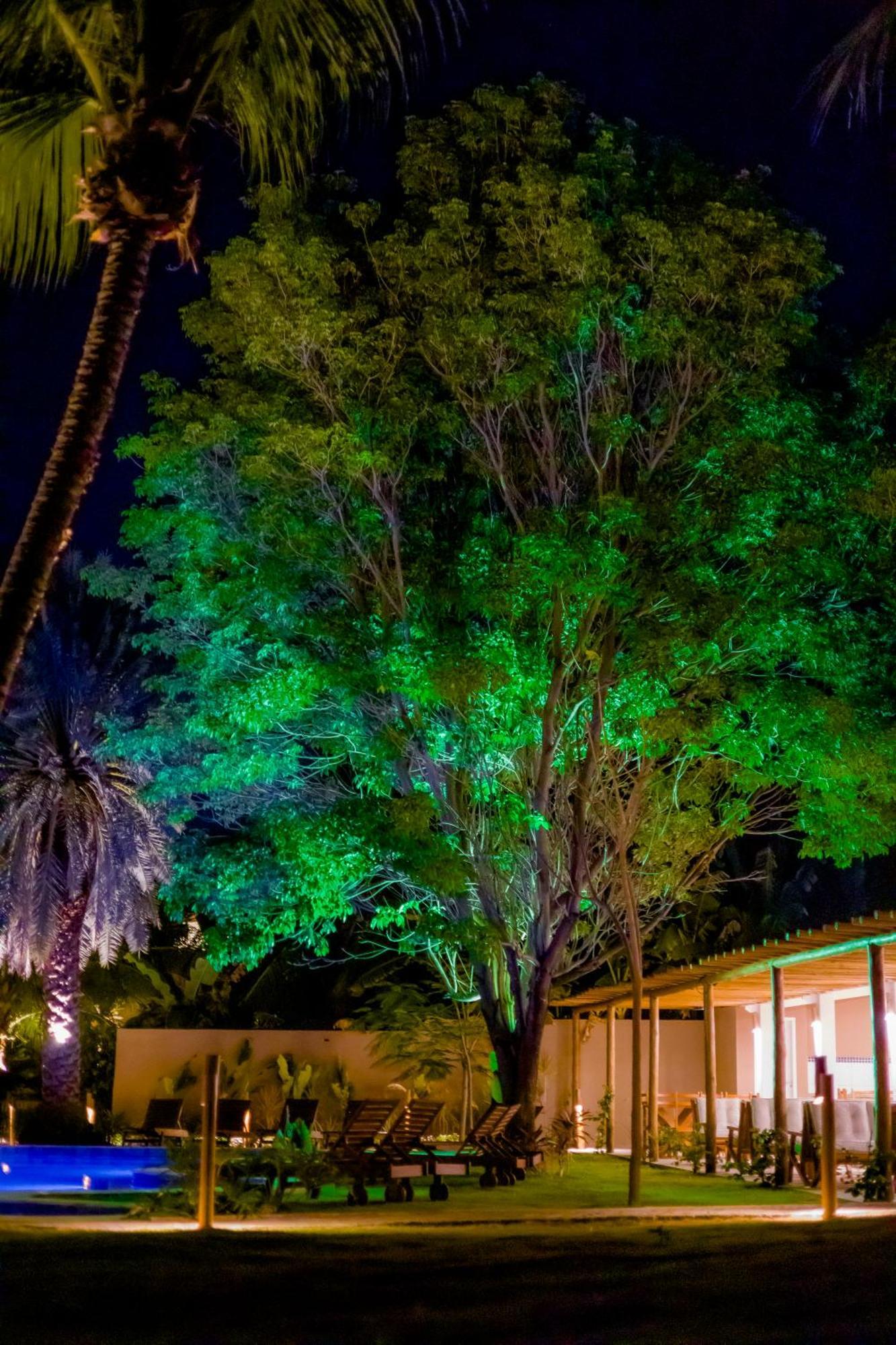 Villa Jaguar Fortim Esterno foto